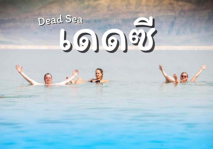 เดดซี (Dead Sea)