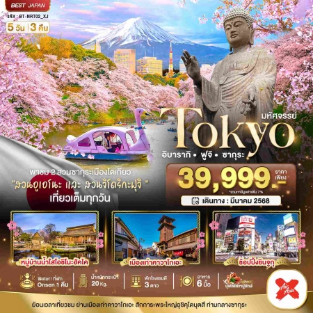 ทัวร์ญี่ปุ่น AJP67-02 XJ มหัศจรรย์ TOKYO อิบารากิ ฟูจิ ซากุระ มี.ค.68 NRT02 (250368)