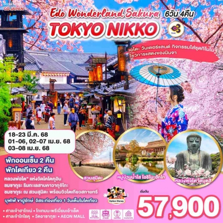 ทัวร์ญี่ปุ่น AJP75-08 TOKYO NIKKO EDO WONDERLAND SAKURA NRT-TG068 (030468)