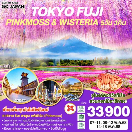 ทัวร์ญี่ปุ่น AJP75-51 TOKYO FUJI PINKMOSS AND WISTERIA NRT-XJ035 (140568)